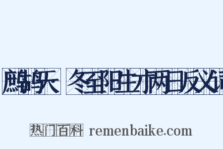 鹧鸪天·冬至阳生才两日反义词是什么意思的图片